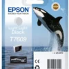 Ink-Jet Epson T76094010 light light svart