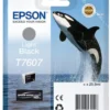 Ink-Jet Epson T76074010 light svart