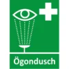 Nödskylt Ögondusch, grön, aluminium eller plast