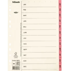 Pappersregister Esselte Servo A4 Jan-Dec, mylarflikar, rosa