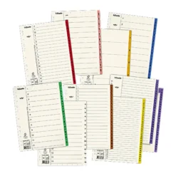 Pappersregister Servo A4 1-20, Mylar-förstärkt, brun