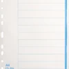 Pappersregister Timing Bas 12 Otryckt, blå flikar, 10 set