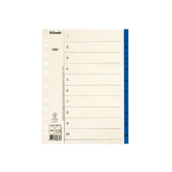 Pappersregister Timing Mega A4 1-10, plastflikar, blå