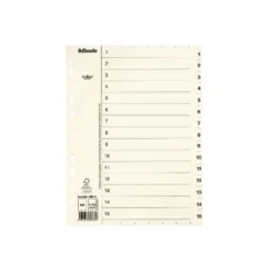 Pappersregister Timing Mega A4 1-15, transparent flik, 10 set