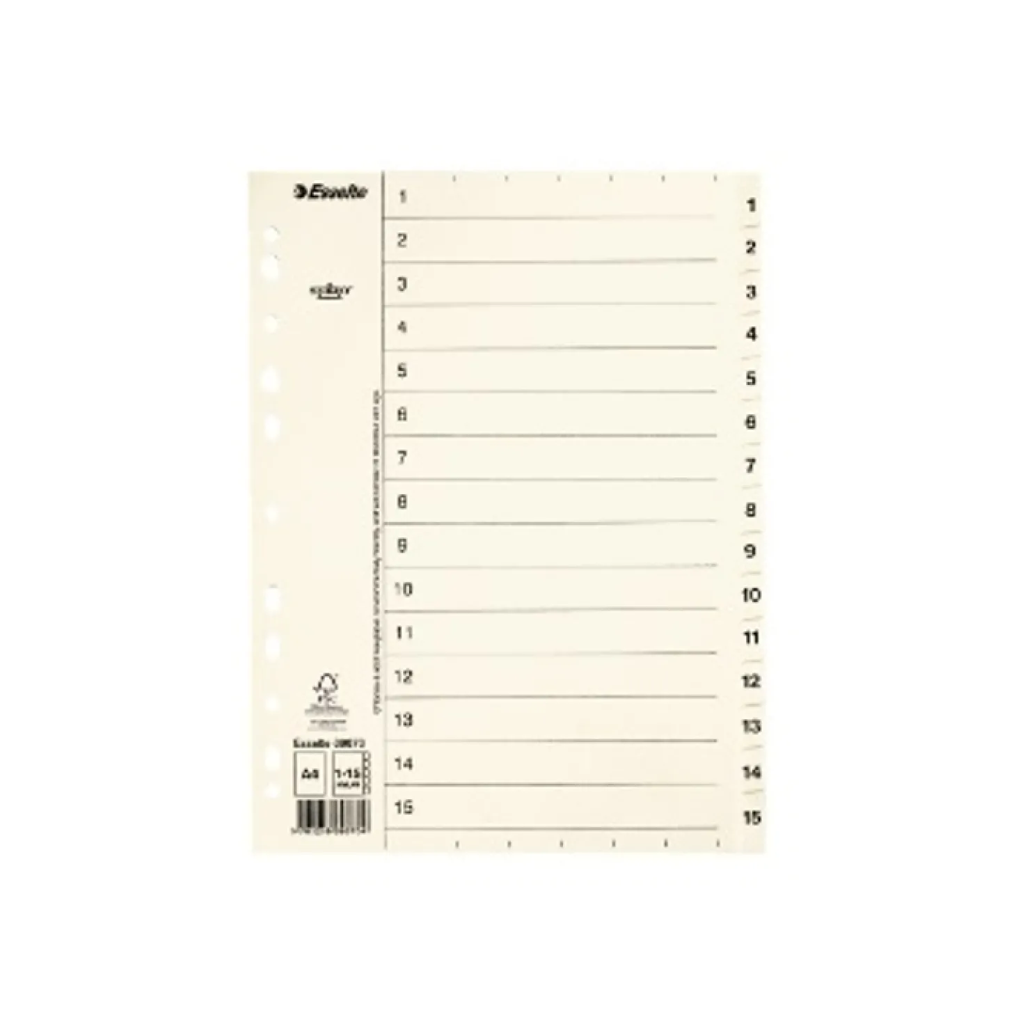 Pappersregister Timing Mega A4 1-15, transparent flik, 10 set