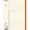 Pappersregister Timing Mega A4 1-20, plastförstärkta flikar, brun