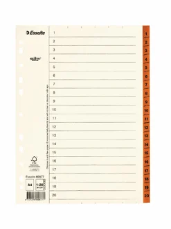 Pappersregister Timing Mega A4 1-20, plastförstärkta flikar, brun