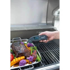 Stektermometer MUSTANG Foldable Digital, -40 till +300°C