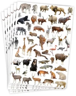 Stickers Playbox Vilda Djur