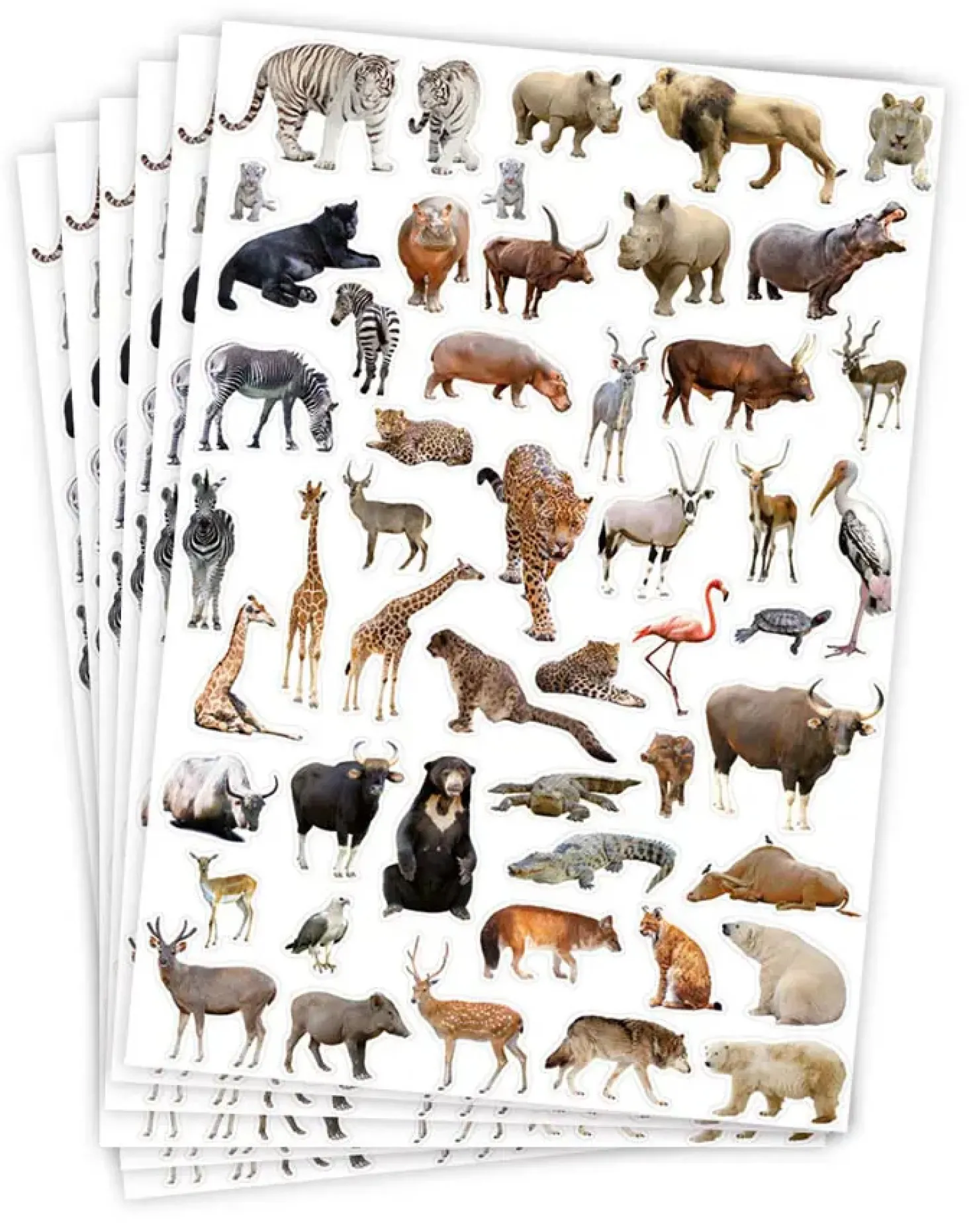 Stickers Playbox Vilda Djur