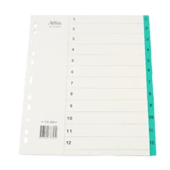 Systemregister Timing Plus A4+ 1-12, plastförstärkta flikar, multihål