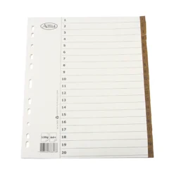 Systemregister Timing Plus A4+ 1-20, plastförstärkta flikar, 10 set