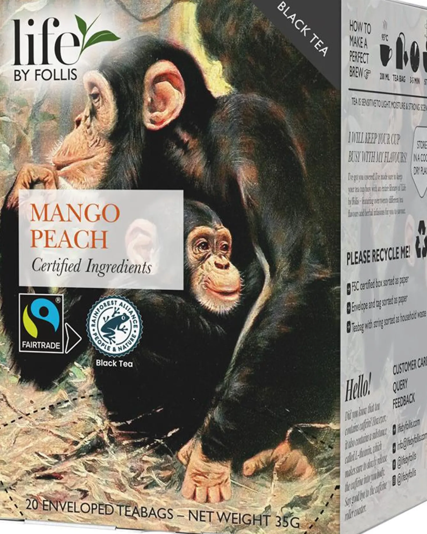 Te LIFE BY FOLLIS Mango Peach 20/fp