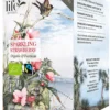 Te LIFE BY FOLLIS Sparkling Strawberry 20/fp