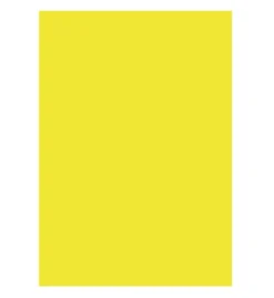 Textkartong A4 Fluogul, syrafri 260 g/m², 25 ark
